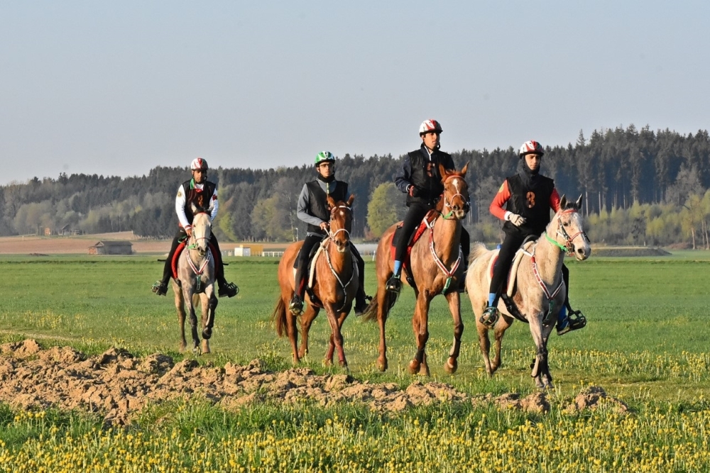 من المشاركات السابقة للخيالة السلطانية في البطولات الدولية للقدرة