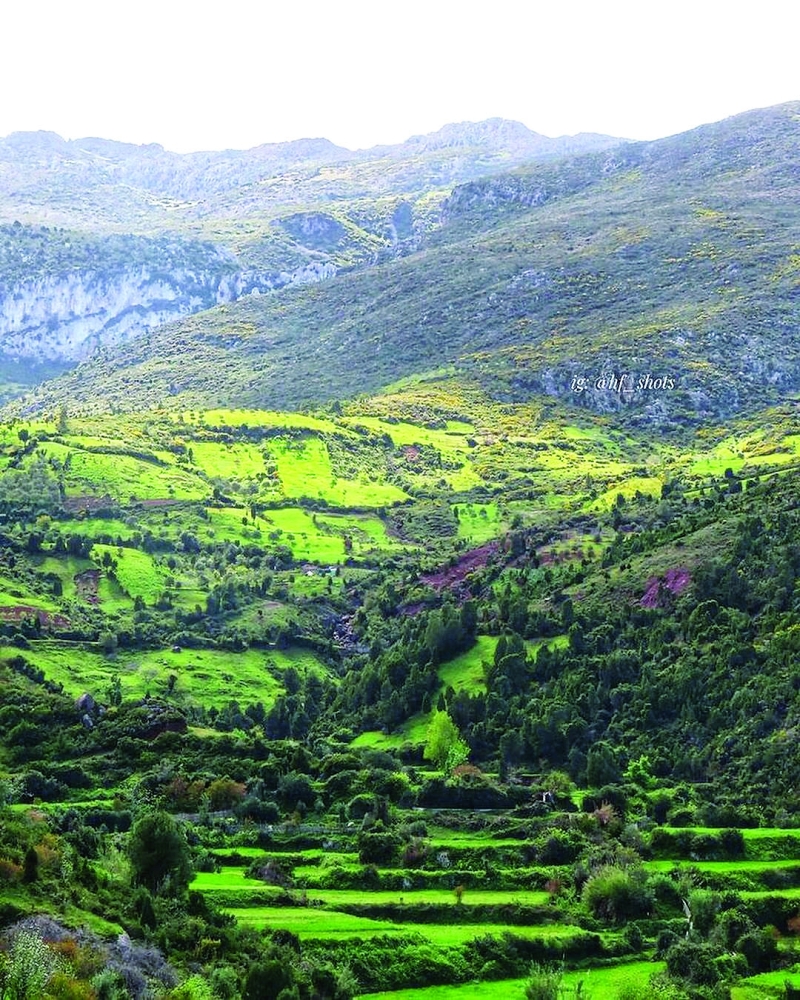 من جبال تطوان بالمغرب العربي