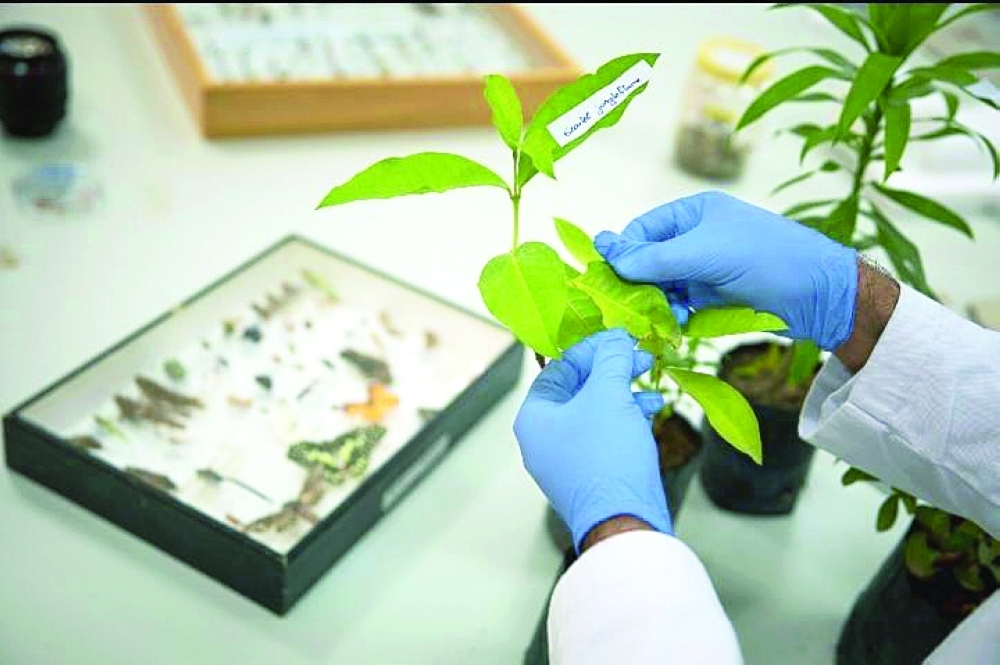 موضوع المختبرات