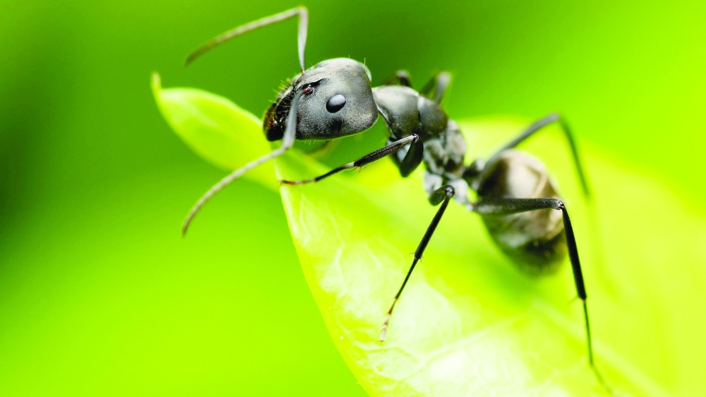 e5c8fdc0ace66066df5a0a523f93407a