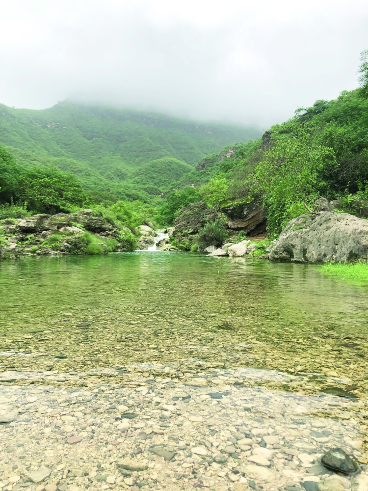 عين غيض بولاية صلالة