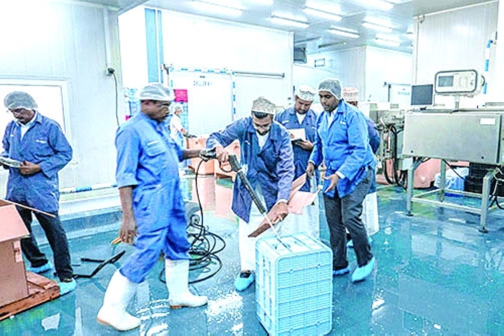 من مصنع شركة رسين