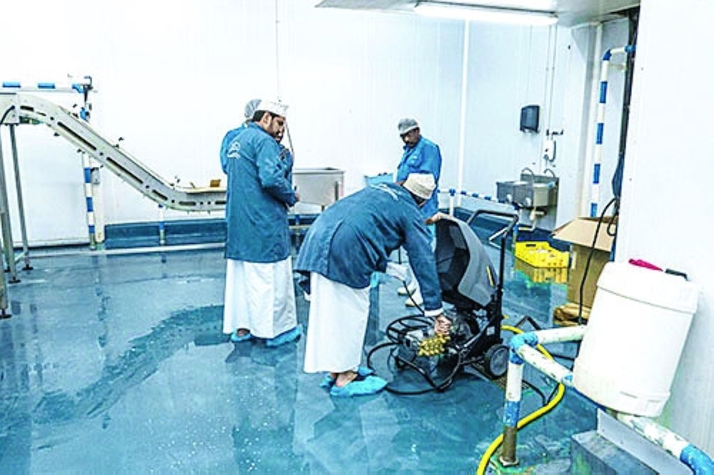 من مصنع شركة رسين