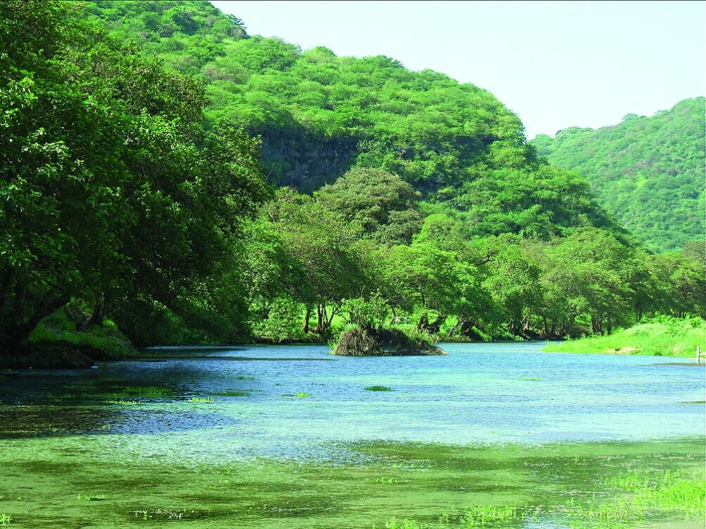 لوحة من الجمال الطبيعي 