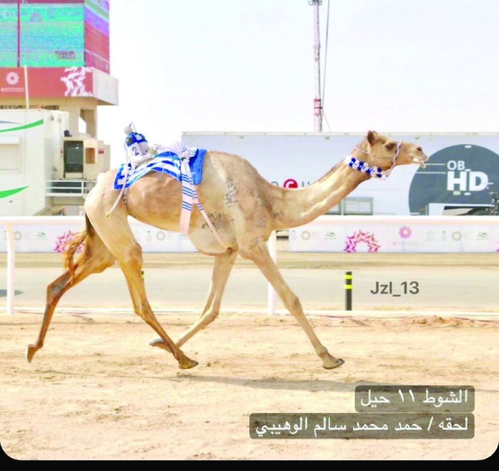 البكرة لحقة في مجريات السباق