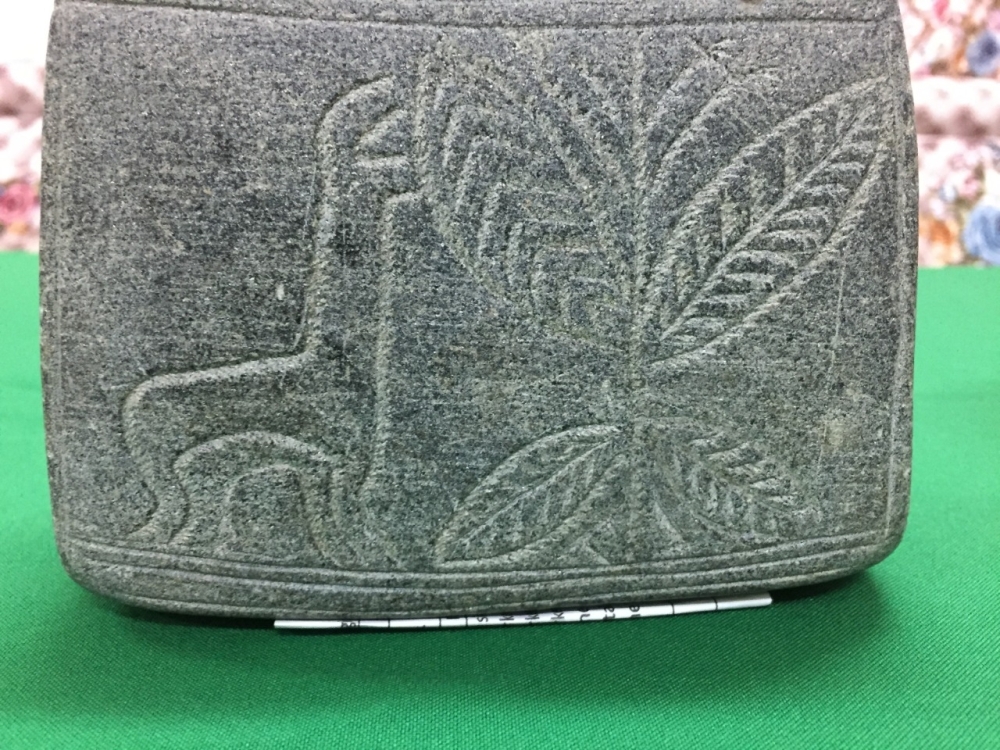 حيوان نادر في تلك الحقبة وانقرض