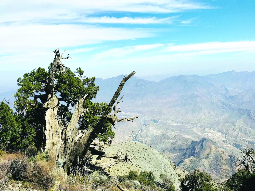 تتمتع السلطنة بمقومات طبيعية تجعلها تتبوأ مراكز متقدمة في سياحة المغامرات