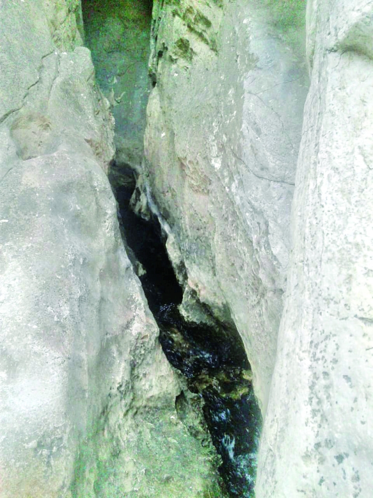 بنبع من بين الشقوق الصخرية