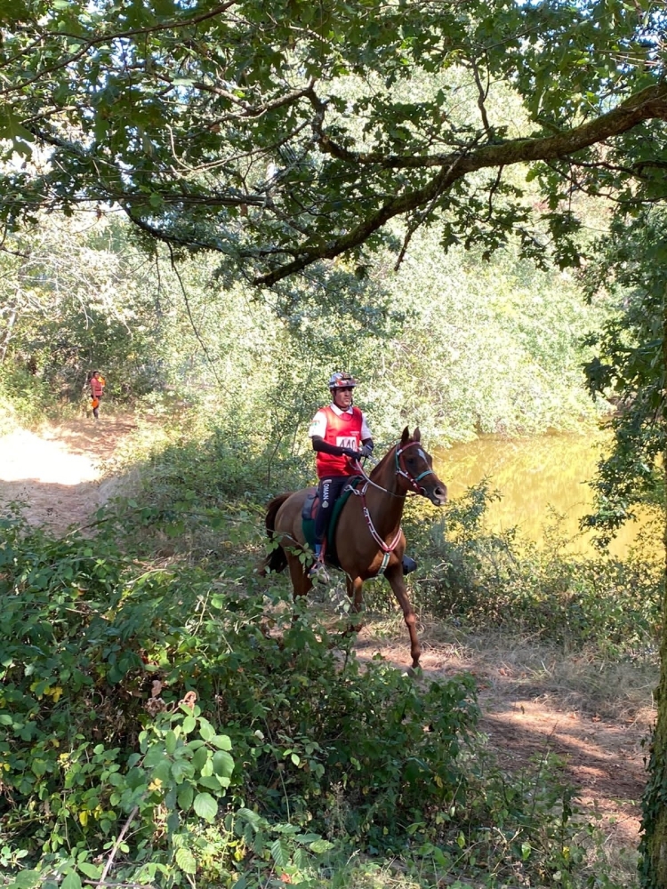 عادل البلوشي في منافسات السباق
