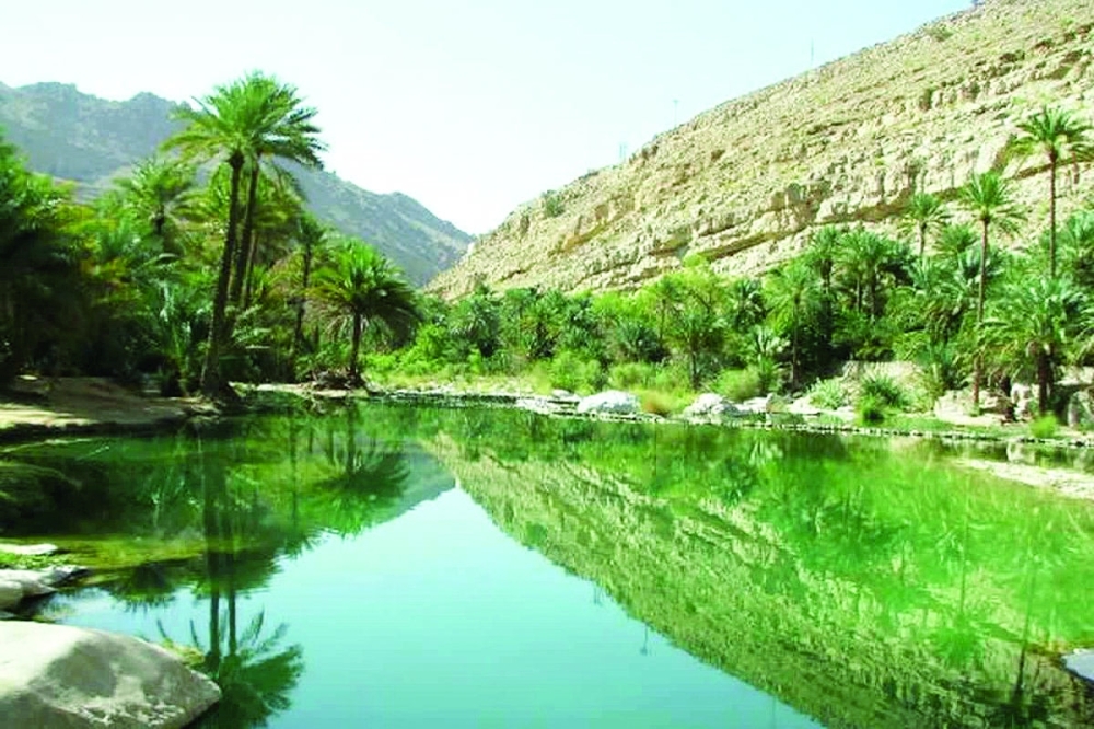 تنوع البيئة العمانية