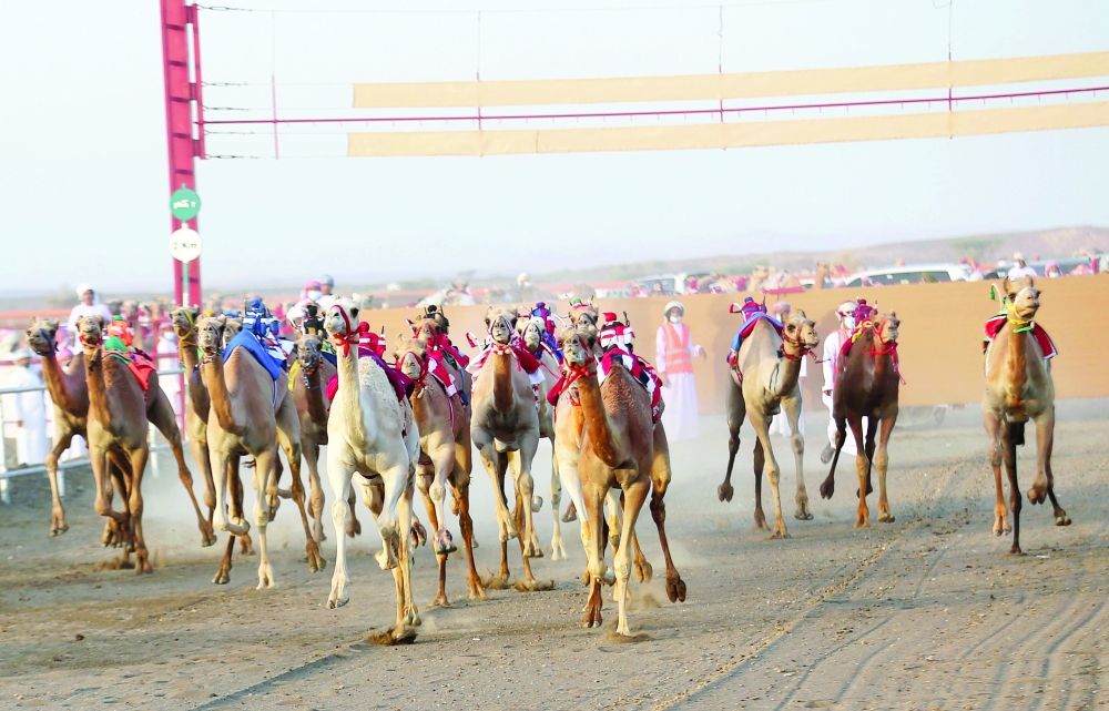 جانب من منافسات السباق