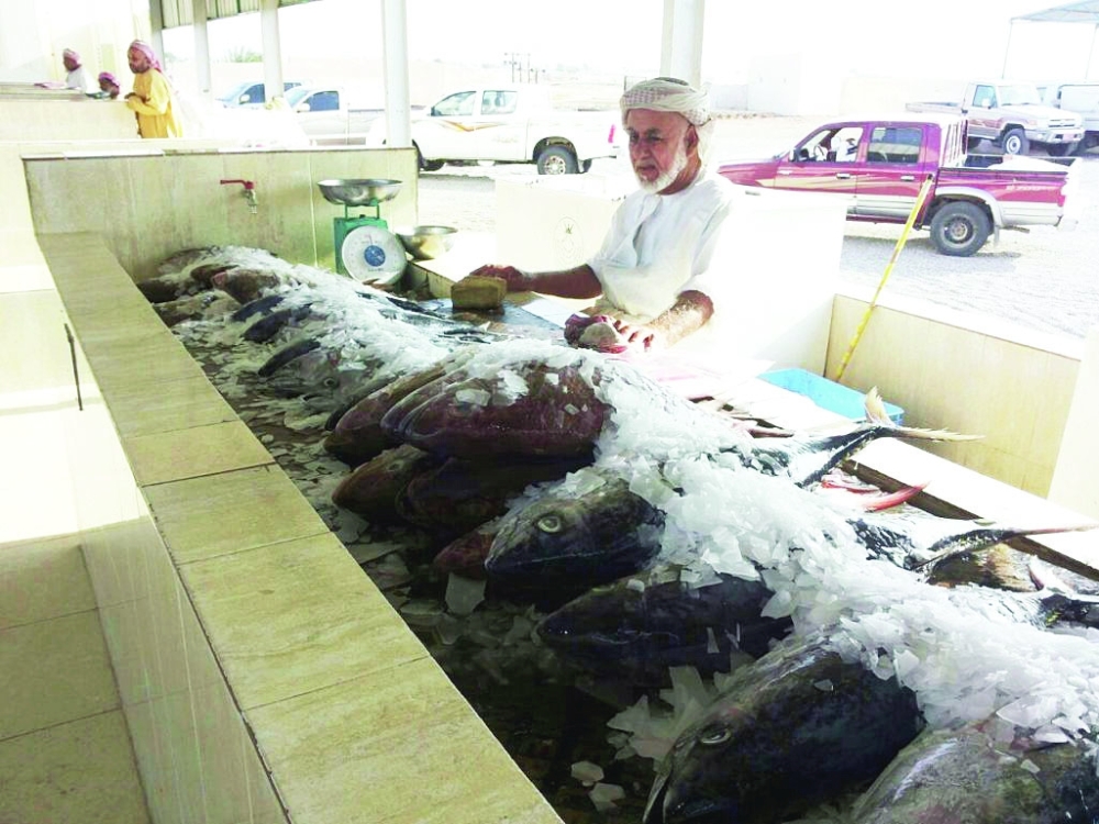 أحد منافذ بيع الأسماك بالسلطنة 