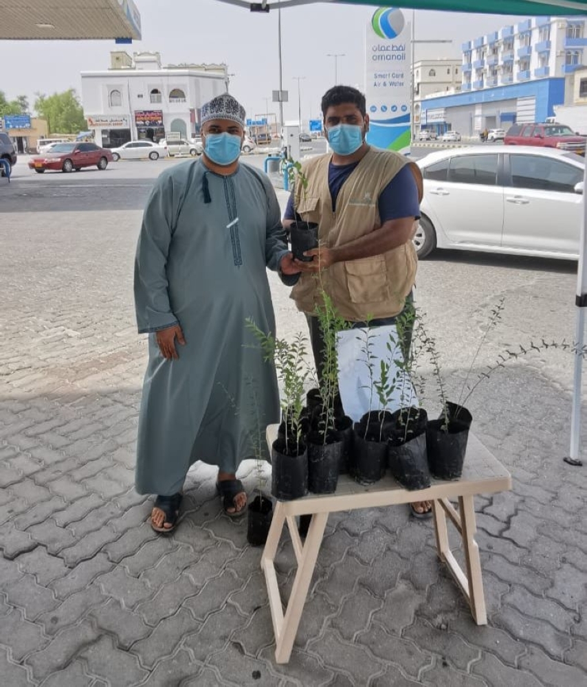 توزيع الشتلات بجنوب الباطنة