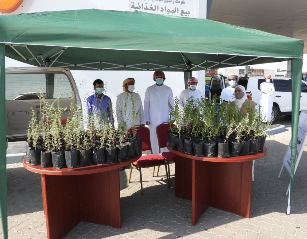توزيع شتلات لأشجار برية من البيئة العمانية بالبريمي