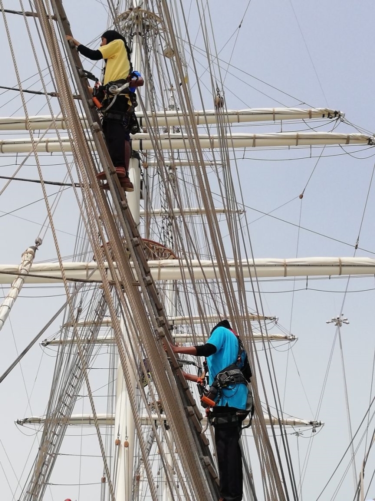 من دورة الإبحار الماضية للجوالات