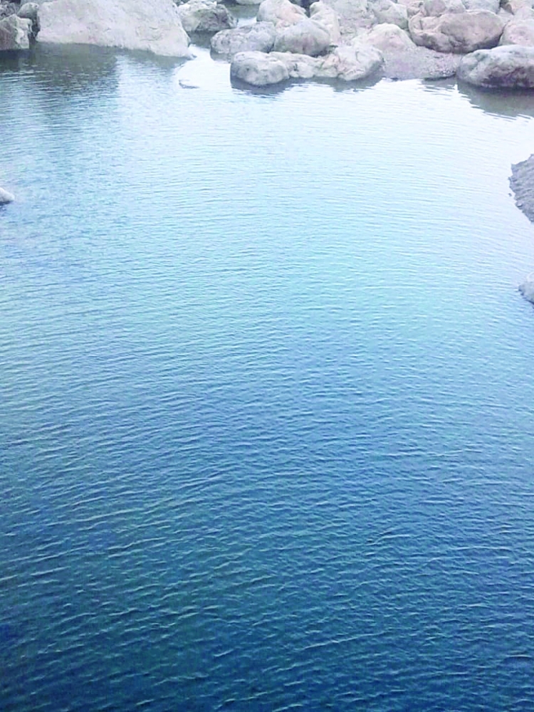 PHOTO-2021-09-07-11-11-31