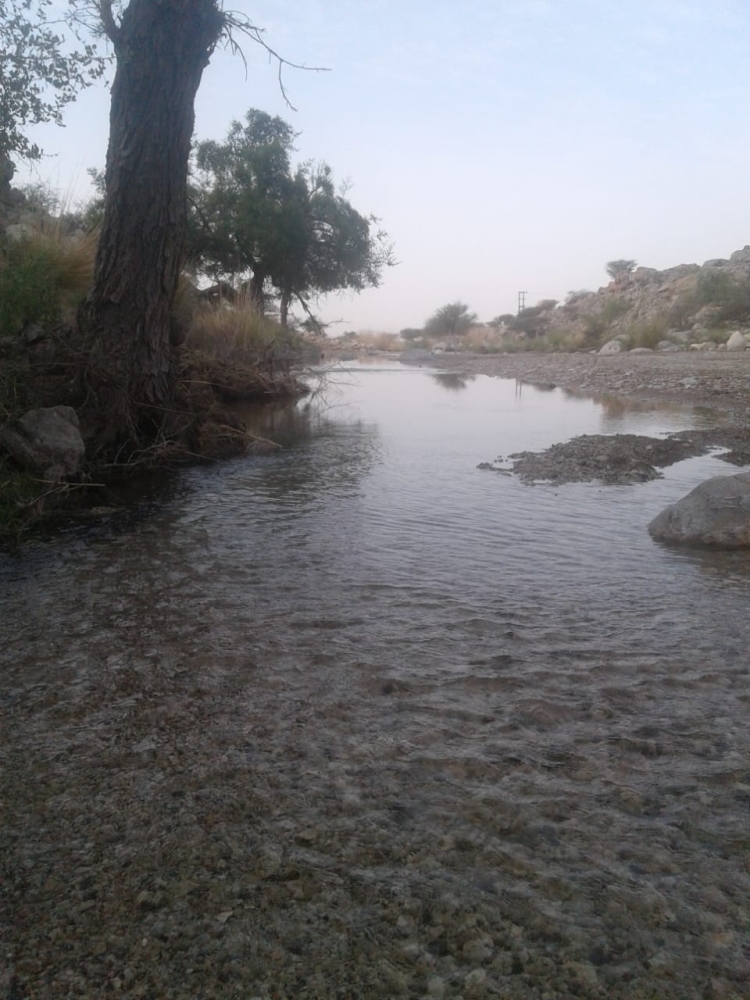 PHOTO-2021-09-07-11-11-32