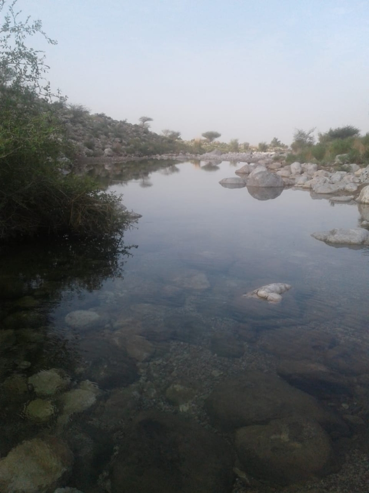 PHOTO-2021-09-07-11-11-33