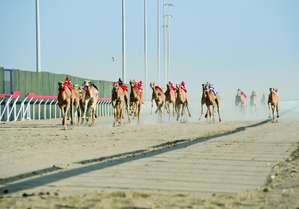 من منافسات اليوم الأول للسباق