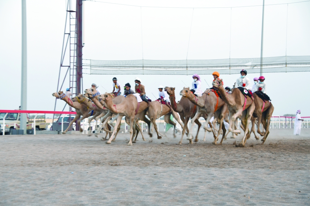 انطلاقة شوط ركض العرضة الطويل