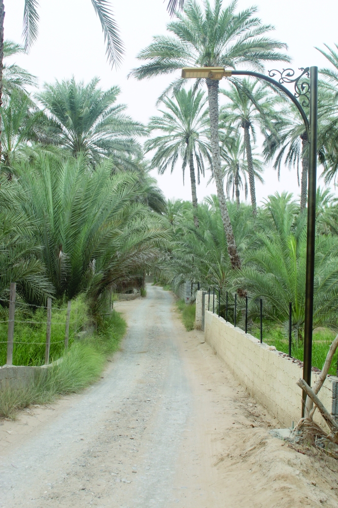 إنارة طريق فلج العجيرية