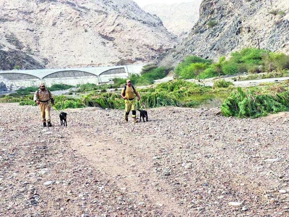 العثور على مواطن مفارق للحياة في العامرات واثنين من الأجانب على قيد الحياة وبصحة جيدة ويبقى البحث جارٍ عن مفقودين 