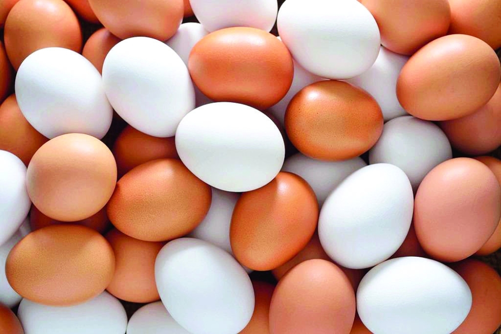 بيض المائدة