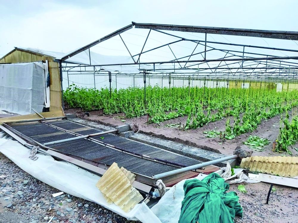 من المزارع المحمية