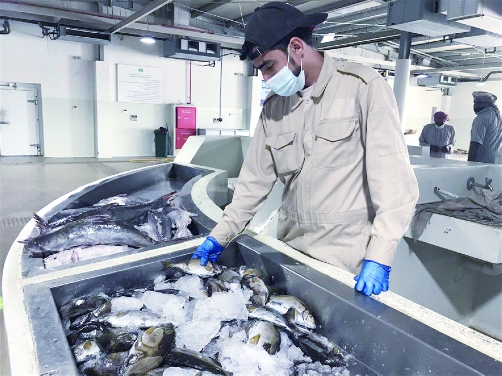 حركة نشطة يشهدها سوق عبري للأسماك 