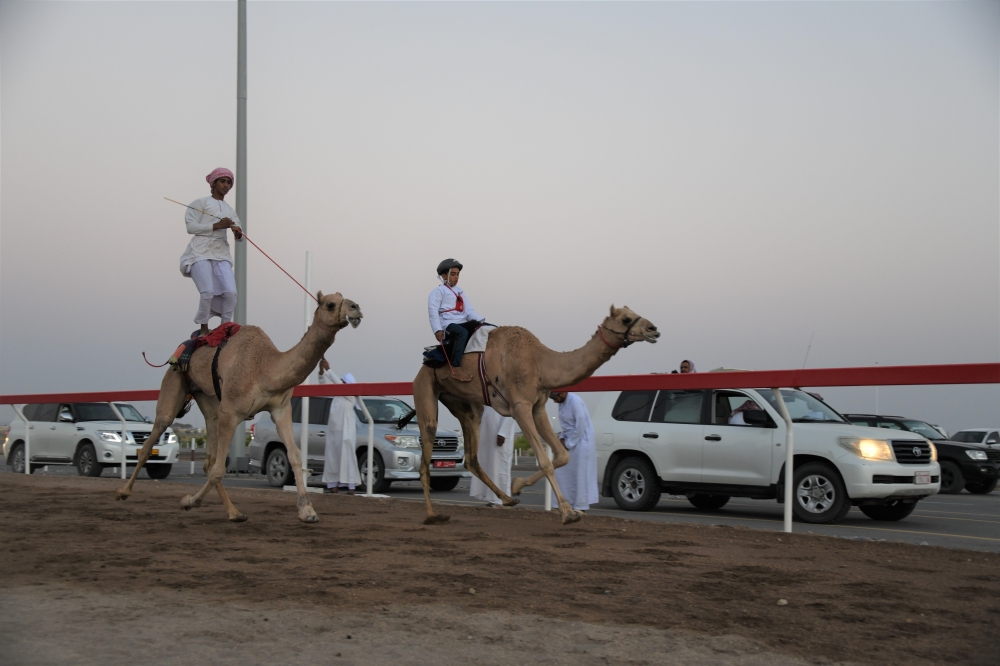 من ركض العرضة الطويل