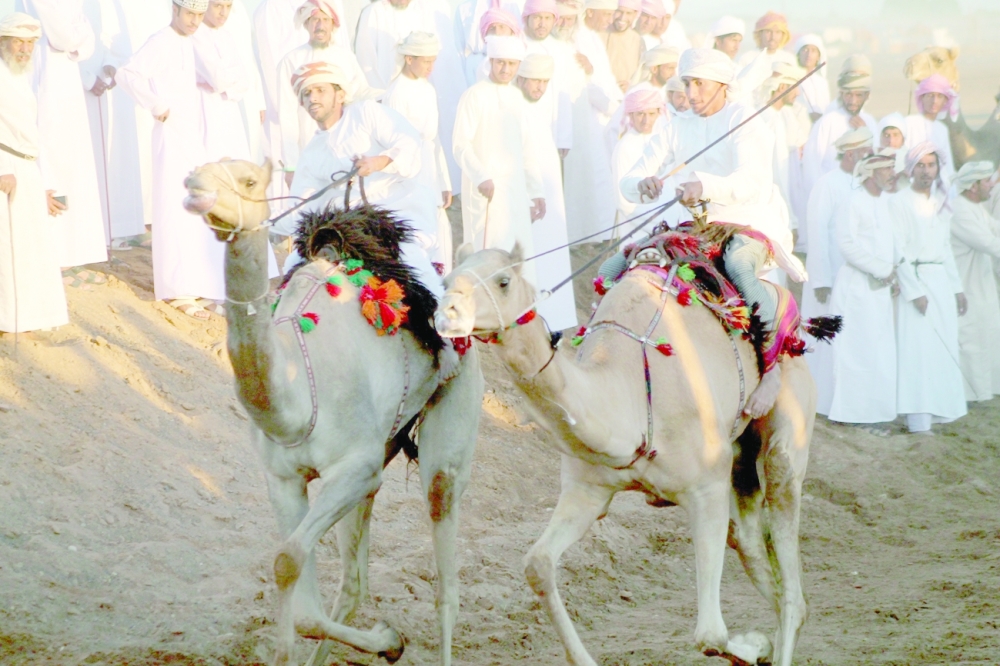 من سباق عرضة الهجن ببدية