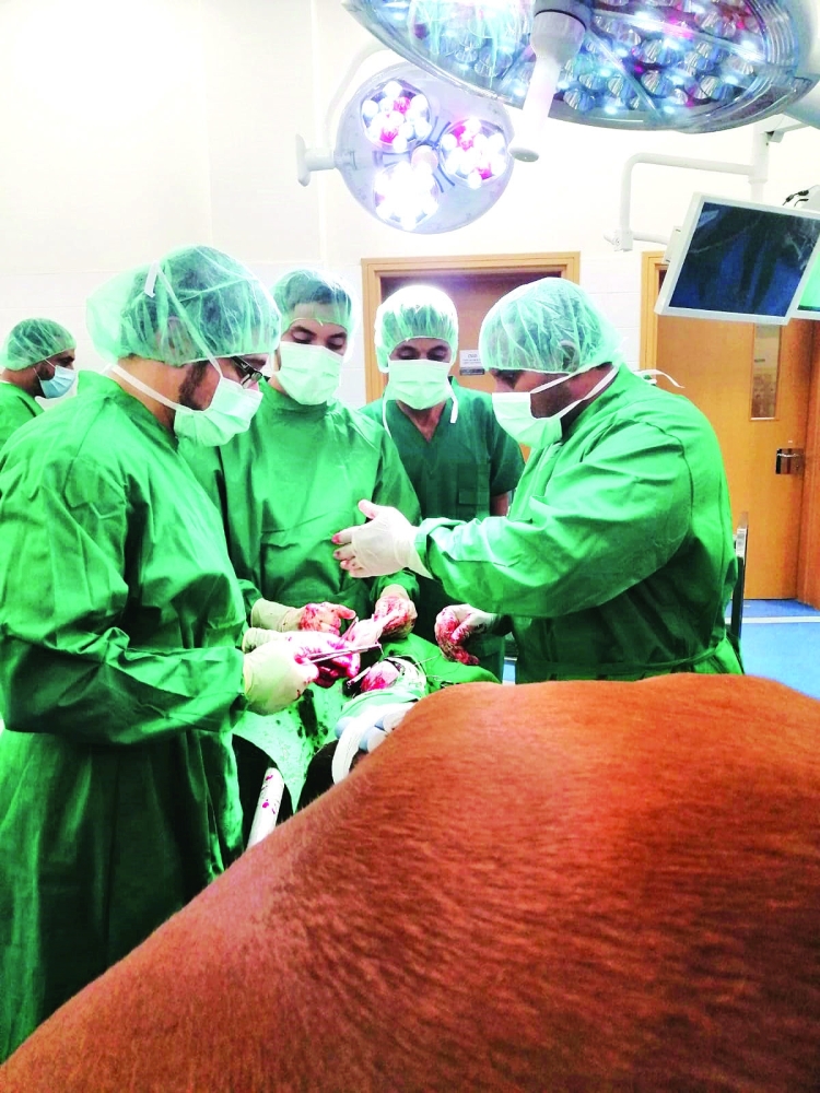 جانب من الدورة