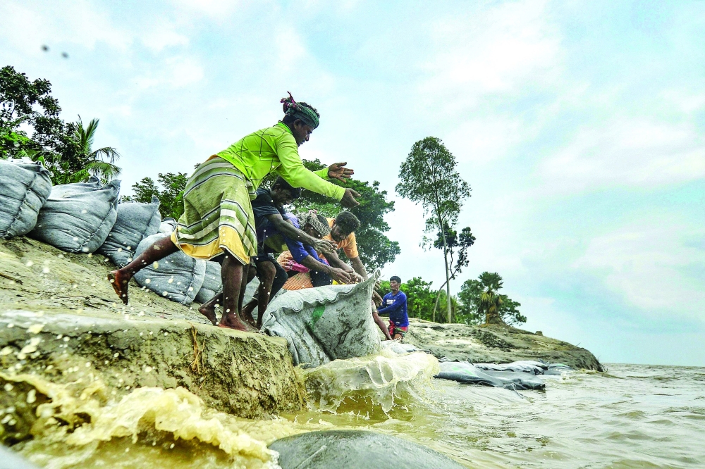 عمال  يضعون أكياسًا من النسيج الجغرافي لمنع تآكل النهر على ضفاف نهر بادما في مانيكونج في بنغلاديش.أ.ف.ب