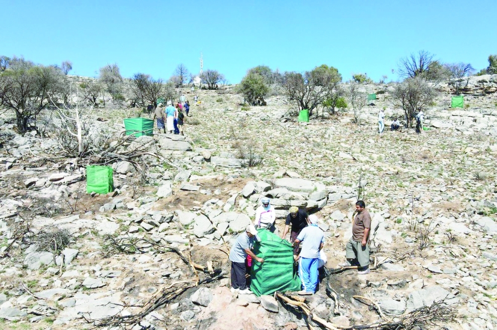  وضع حمايات للأشجار 