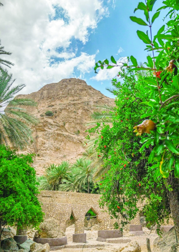 أشجار الرمان في الجيلة بطيوي