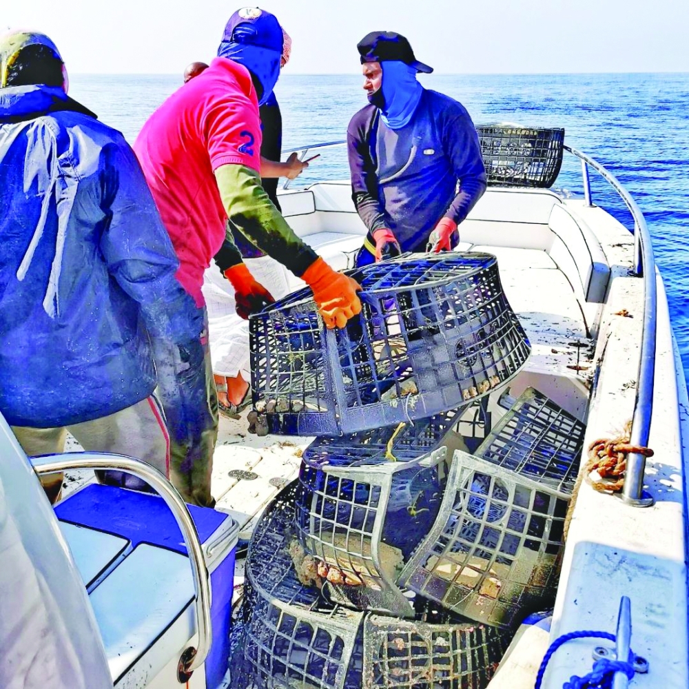 مصادرة أقفاص  صيد الشارخة خارج الموسم