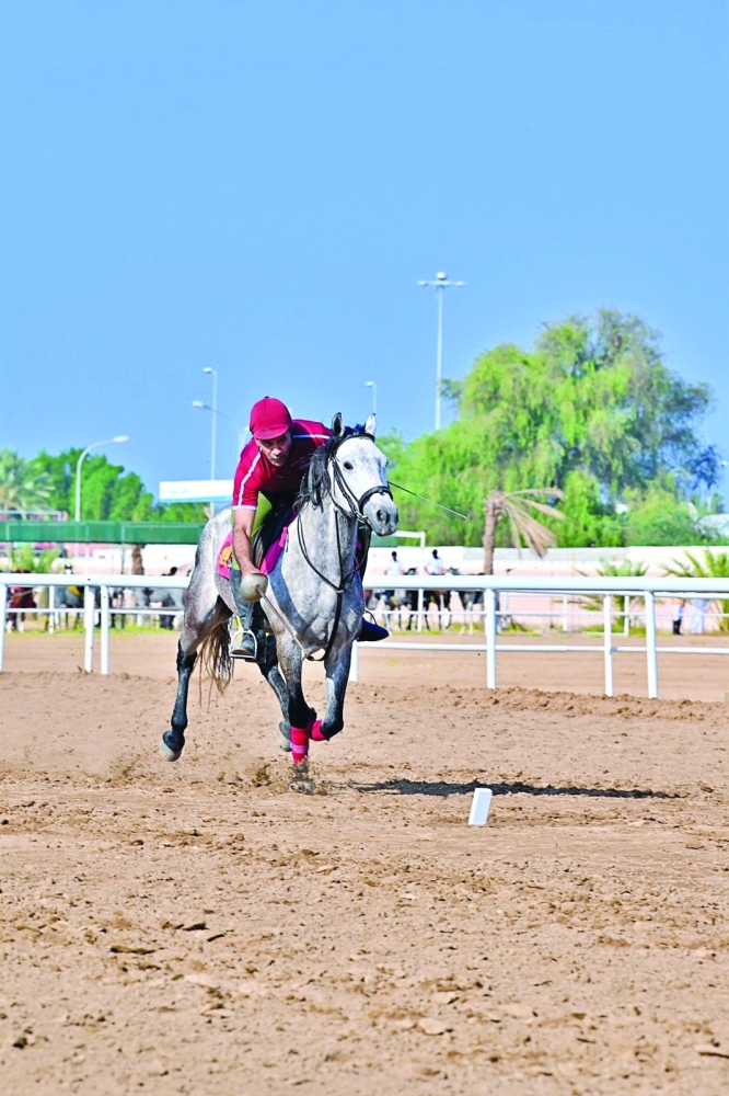 جانب من مسابقة التقاط الأوتاد