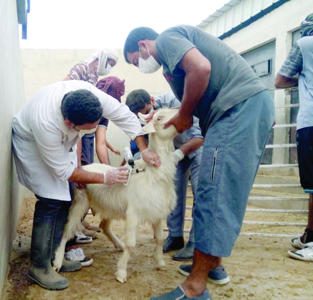 من أعمال التحصين 