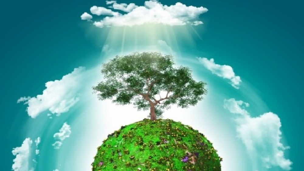 the-importance-of-environmental-protection