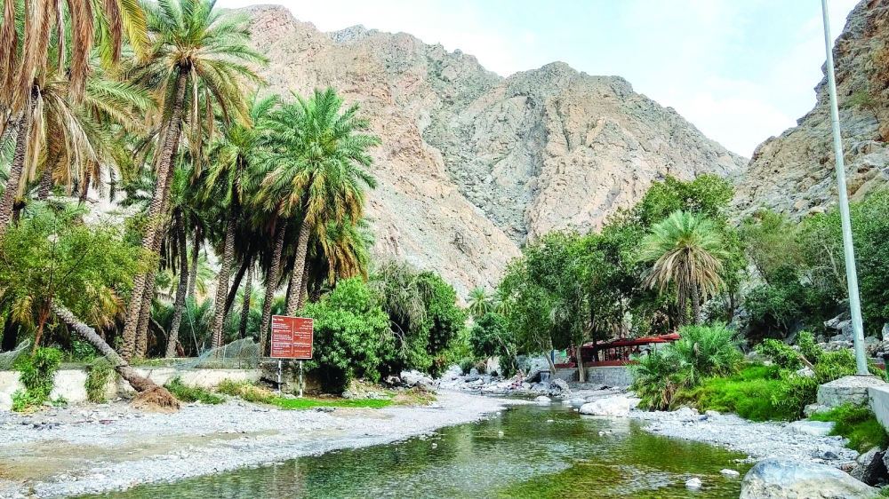 من جريان المياه من عين الثوارة 