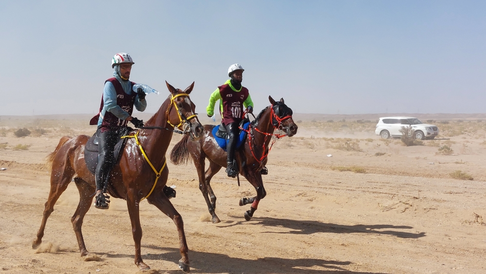 جانب من سباق أوكسي القدرة والتحمل