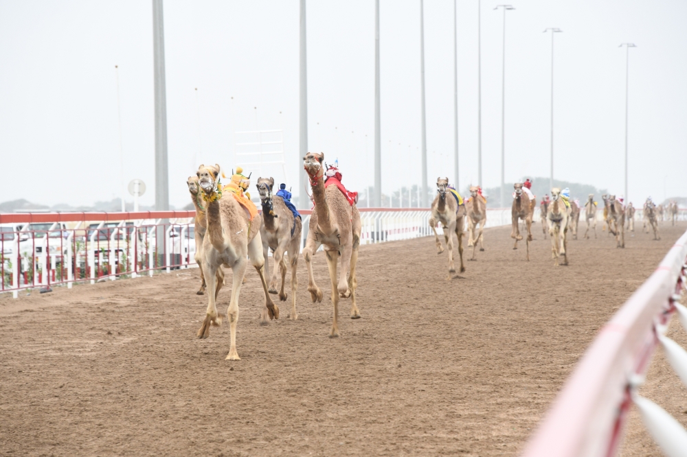 من منافسات انطلاق المهرجان