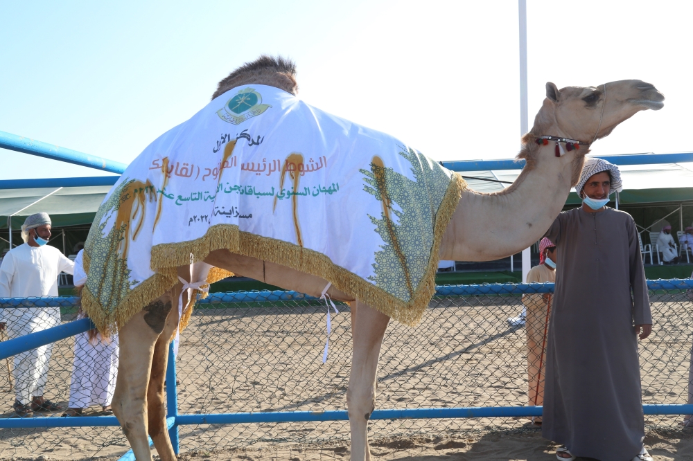 المركز الأول في الشوط الرئيسي المفتوح