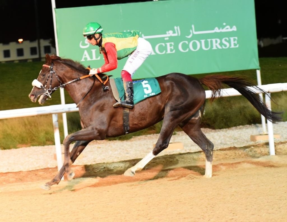 الحصان متقدم في منافسات السباق