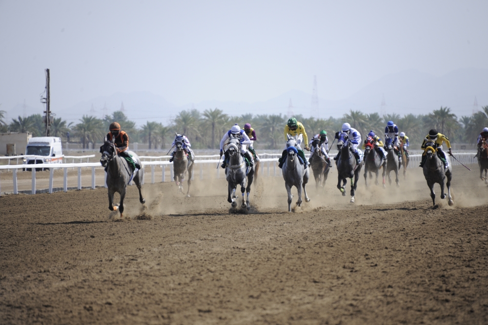 من منافسات سباقات الخيل بالرحبة