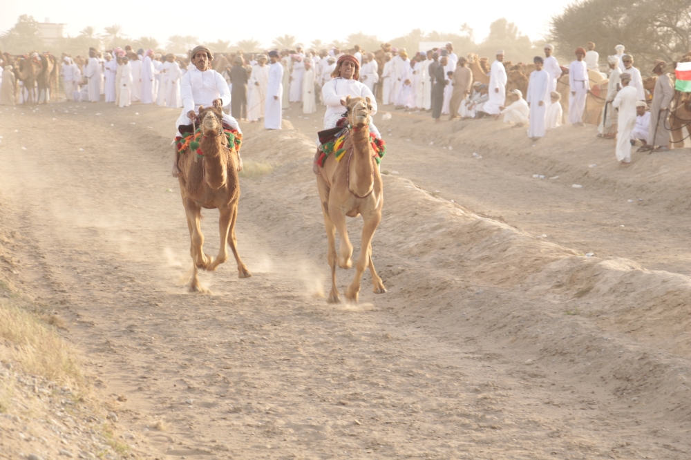 جانب من مسابقة العرضة ببركاء