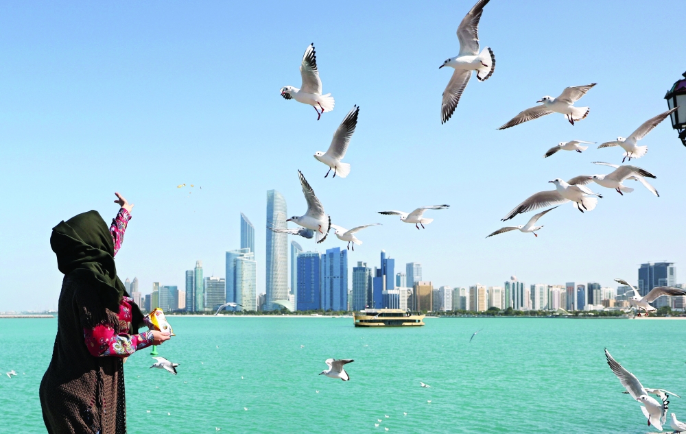 امرأة تطعم الحمام مقابل كورنيش أبوظبي .أ.ف.ب