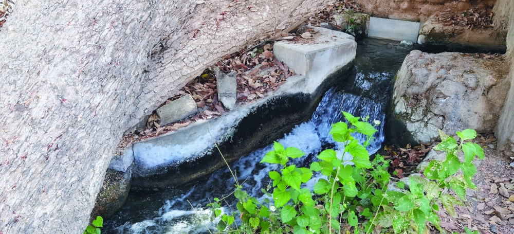 فلج حارة حجرة الشيخ