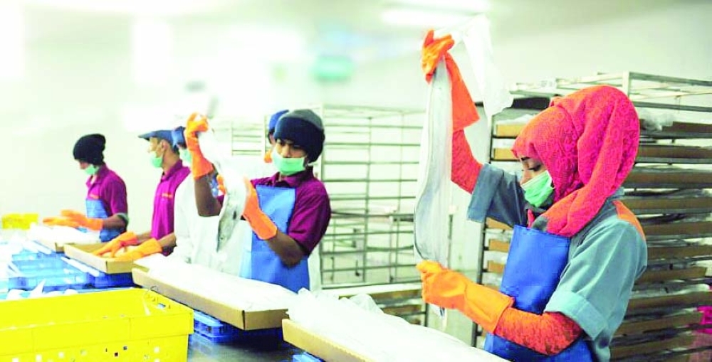 أحد مصانع الأسماك بالمحافظة 