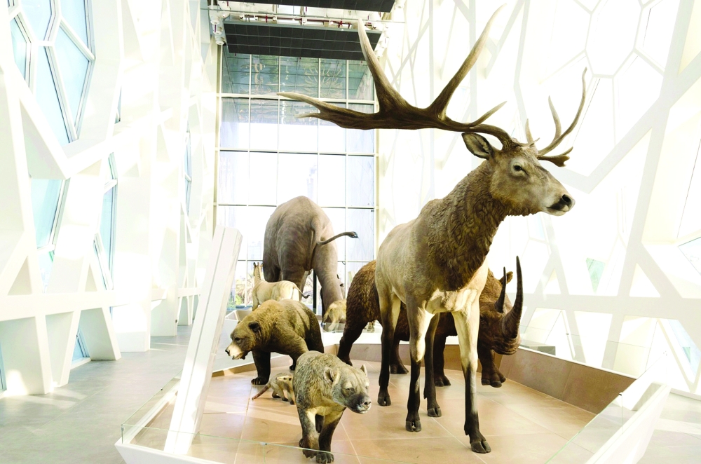 من مرافق المركز 